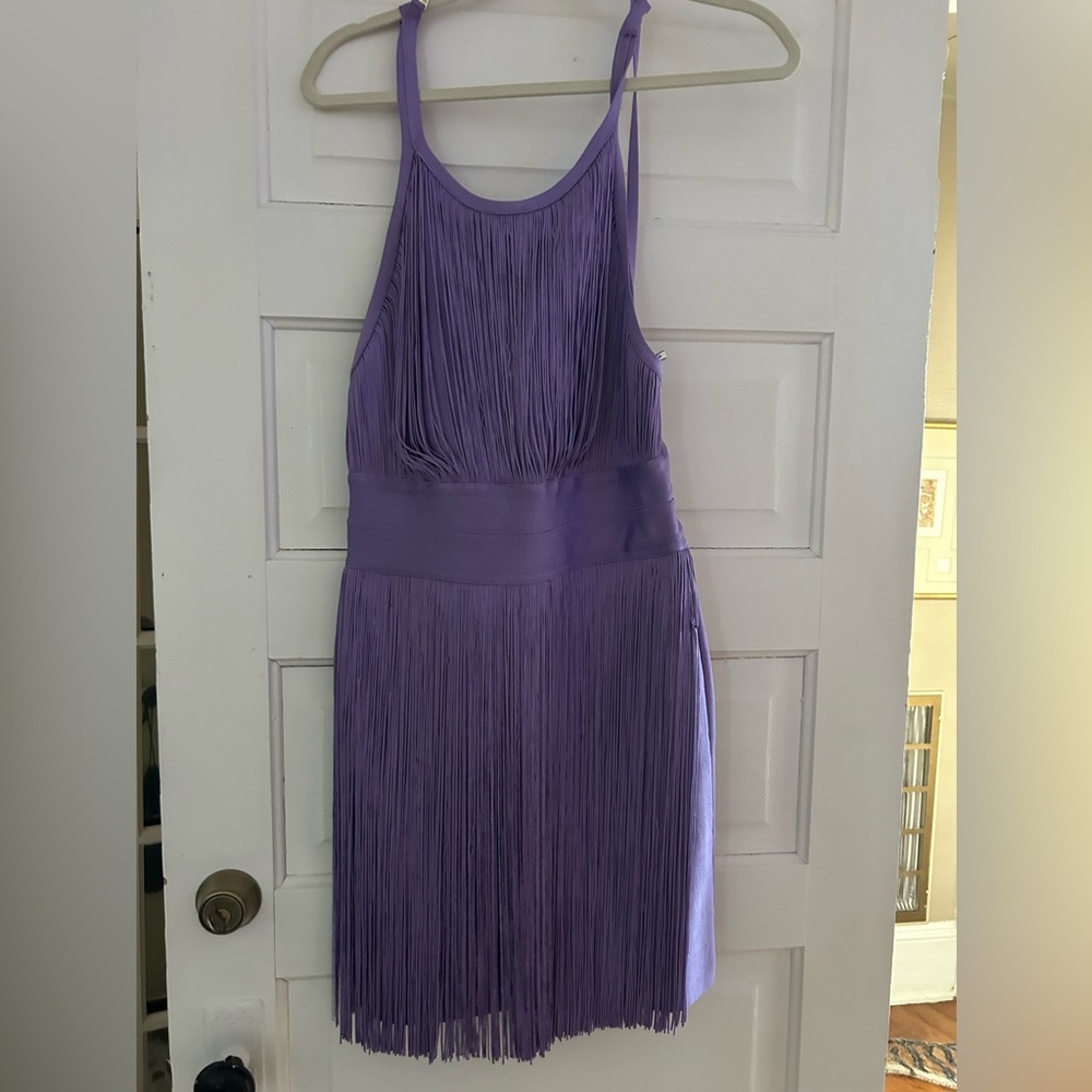 Herve Legere Fringe Dress
